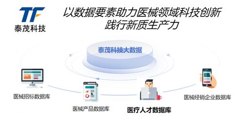 貫徹全國科技大會精神 泰茂科技以創新踐行新質生產力，引領信息技術咨詢服務